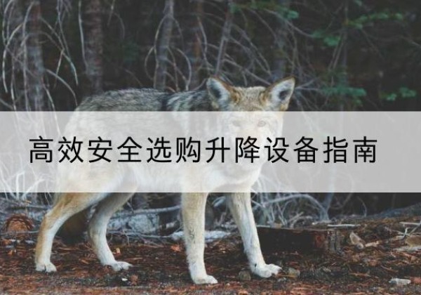 长垣升降货梯厂家推荐-*安全选购升降设备指南