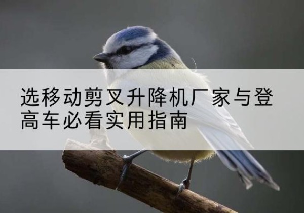 长垣电动升降机厂家-选移动剪叉升降机厂家与登高车必看实用指南